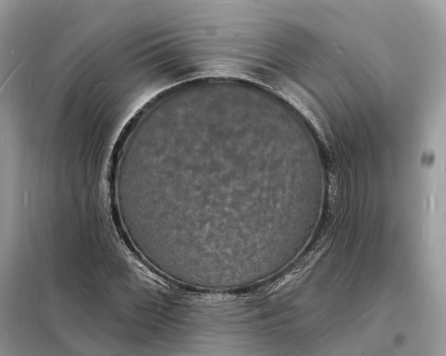 X0000098231068200805081216