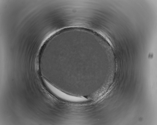 X0000098231069200805081216