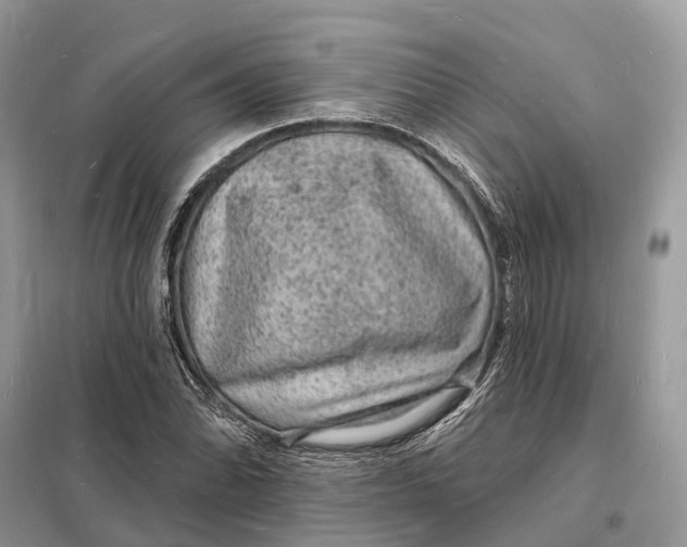 X0000098231070200805081216