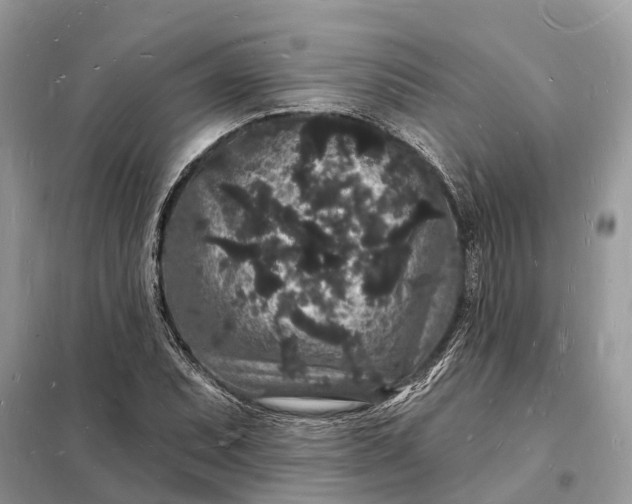 X0000098231071200805081216