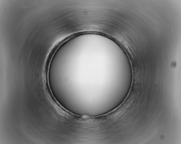 X0000098231072200805081216