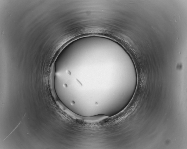 X0000098231073200805081216