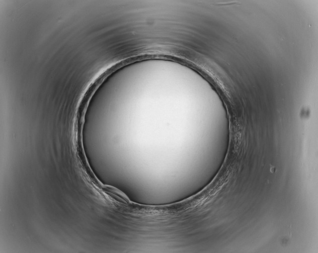 X0000098231076200805081216