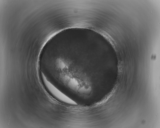 X0000098231077200805081216