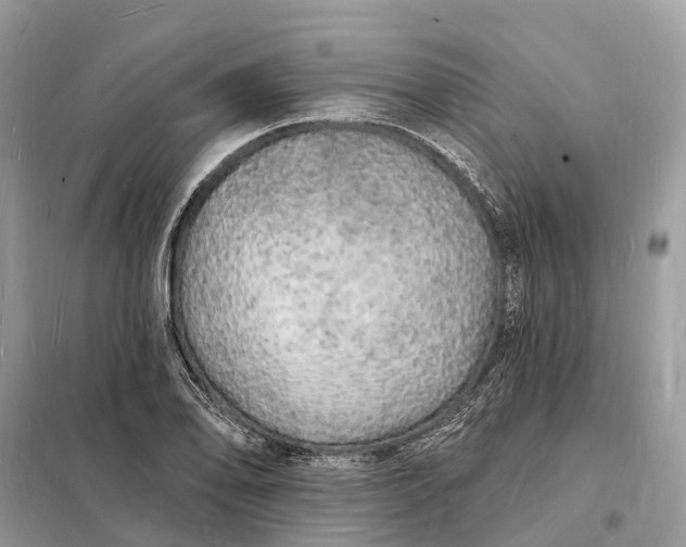 X0000098231078200805081216