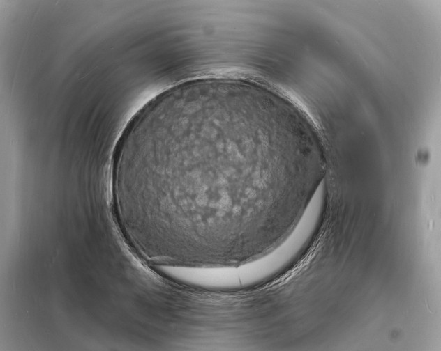 X0000098231079200805081216