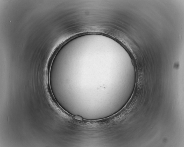 X0000098231080200805081216