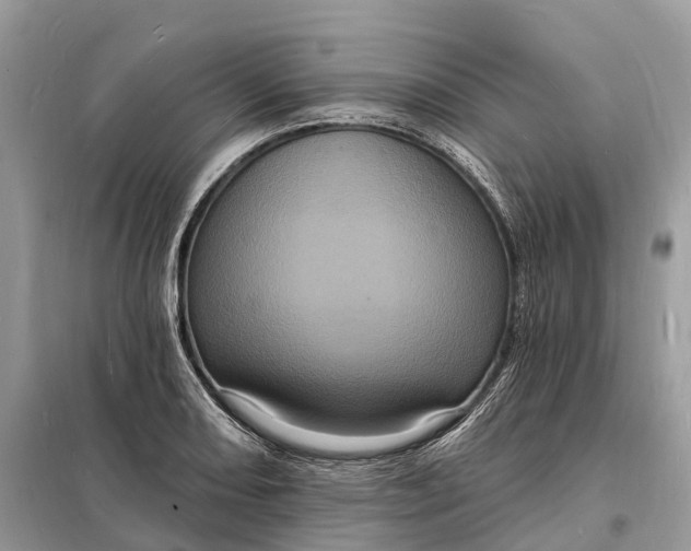 X0000098231082200805081216