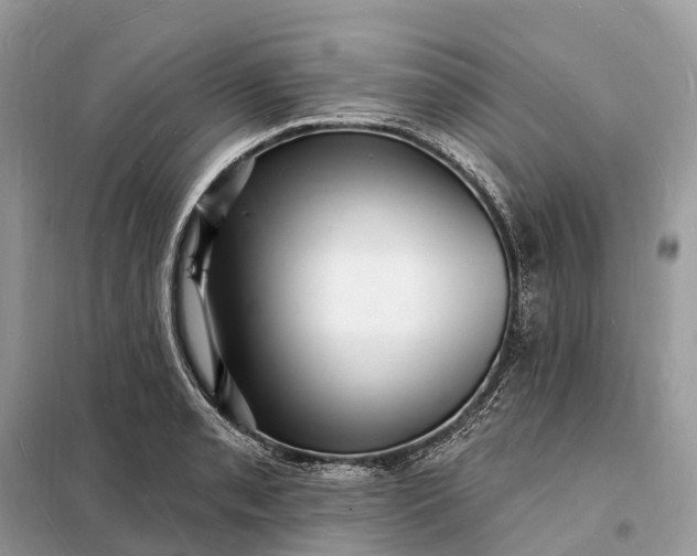 X0000098231085200805081216