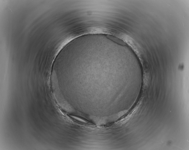 X0000098231089200805081216