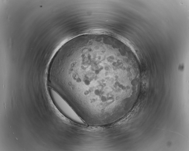 X0000098231091200805081216