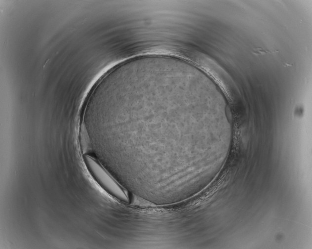 X0000098231092200805081216