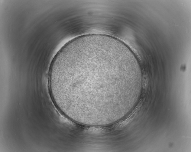 X0000098231094200805081216