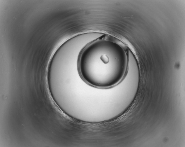 X0000098231096200805081216