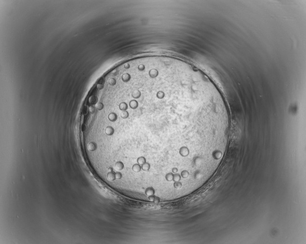 X0000098231098200805081216