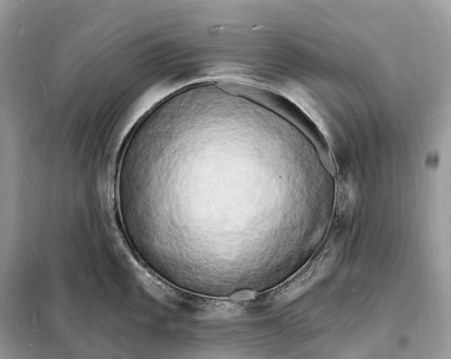 X0000098231101200805081216