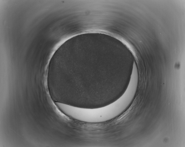 X0000098231102200805081216