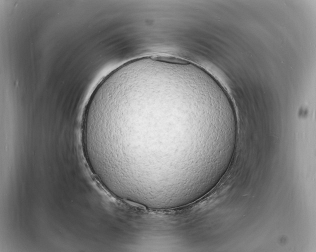 X0000098231104200805081216