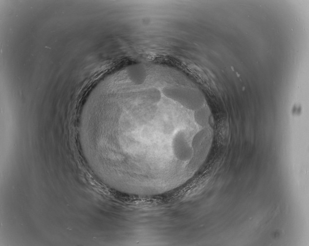 X0000098231105200805081215