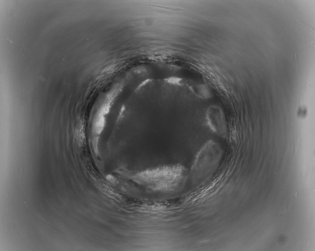 X0000098231106200805081215