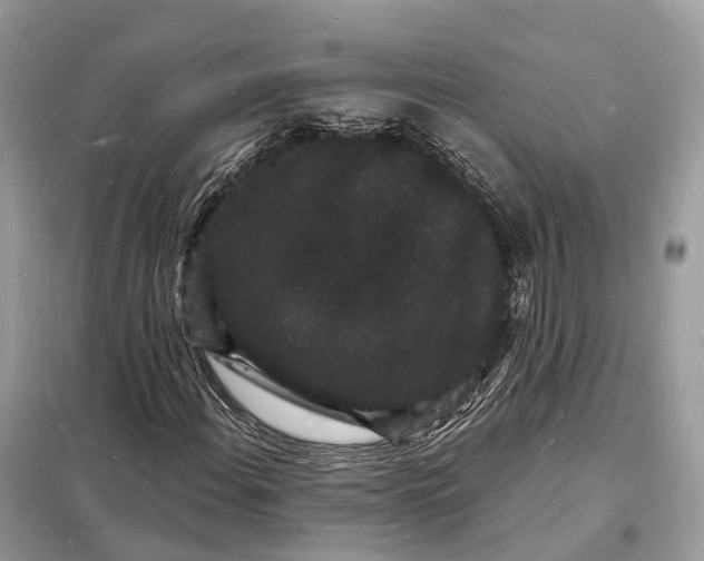 X0000098231108200805081215