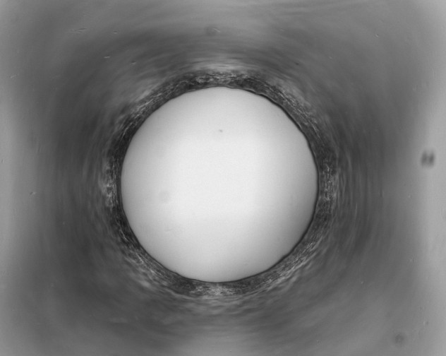 X0000098231109200805081215