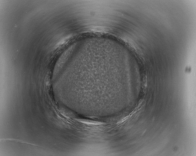 X0000098231110200805081215