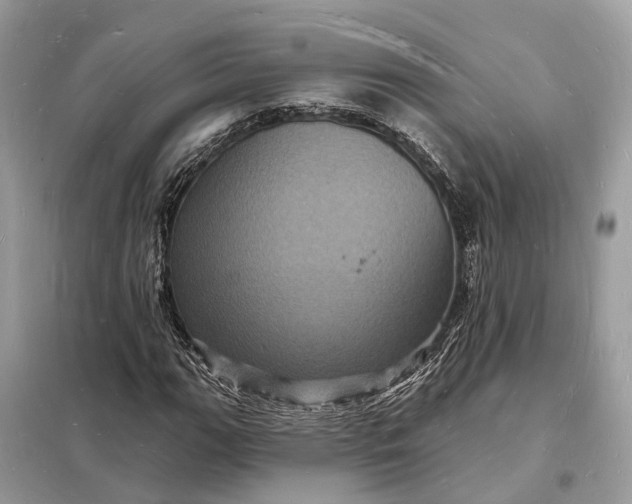 X0000098231111200805081215