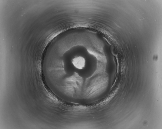 X0000098231113200805081215