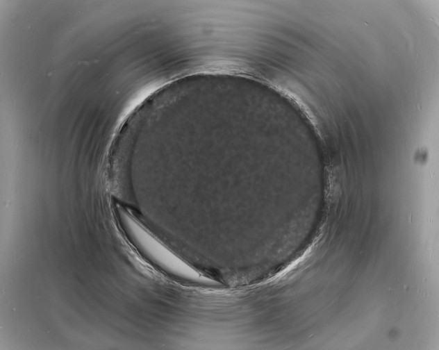 X0000098231114200805081215