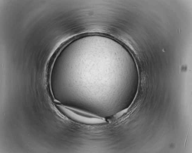 X0000098231116200805081215