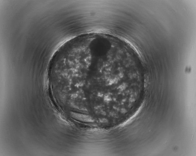 X0000098231117200805081215