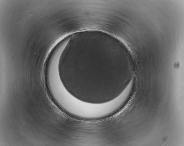 X0000098231118200805081215