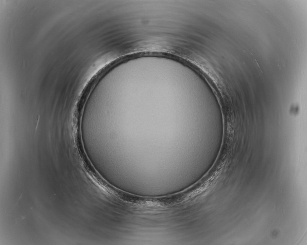 X0000098231119200805081215