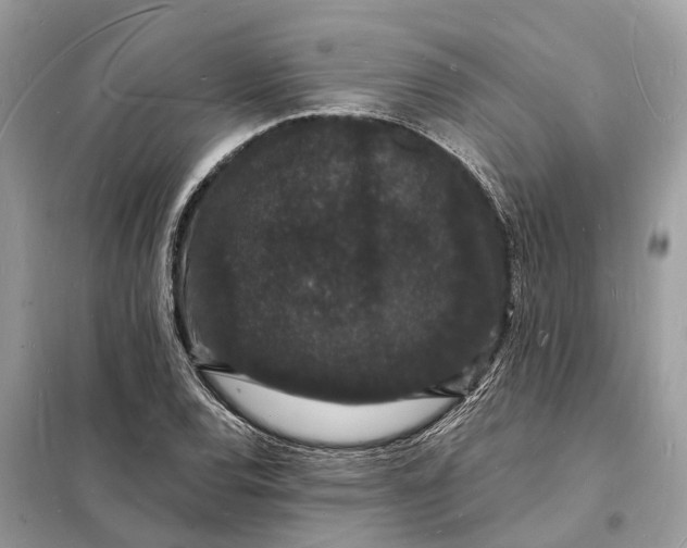 X0000098231120200805081215