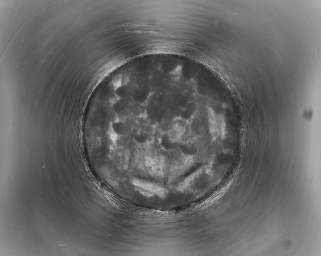 X0000098231121200805081215