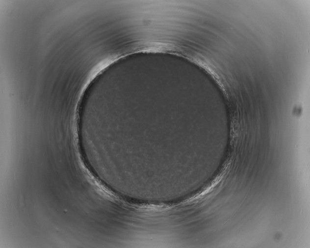 X0000098231122200805081215