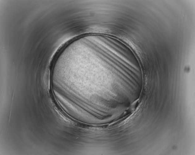 X0000098231123200805081215