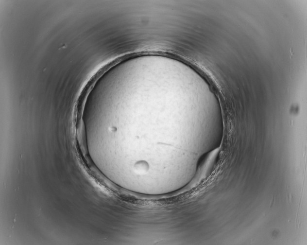 X0000098231124200805081215