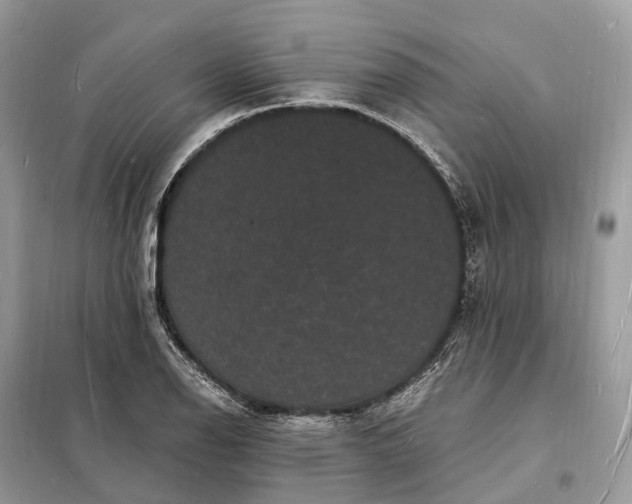 X0000098231126200805081215