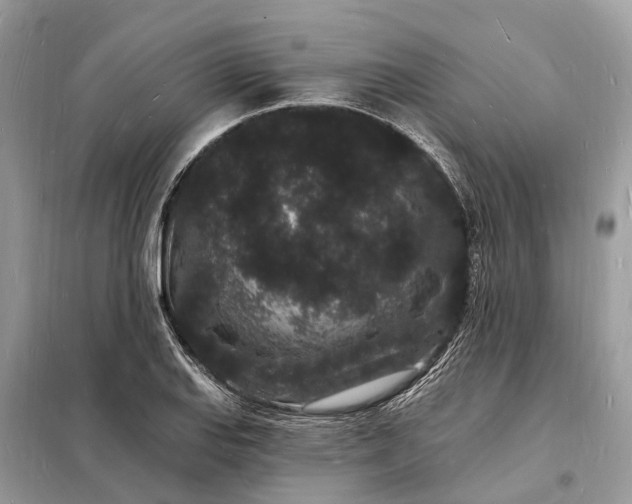 X0000098231127200805081215