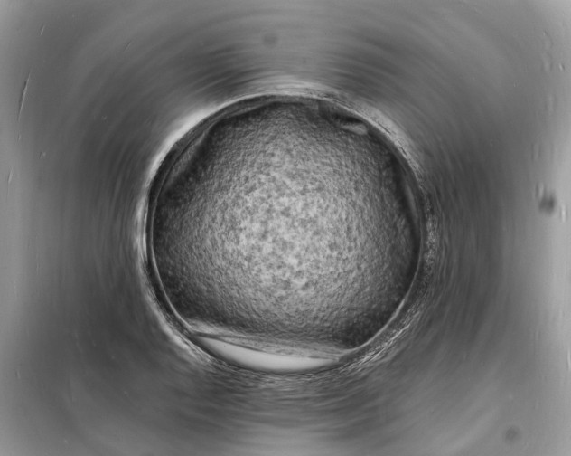 X0000098231128200805081215