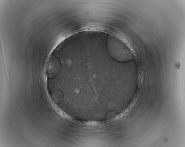 X0000098231130200805081216