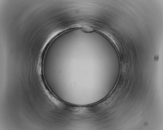 X0000098231131200805081216