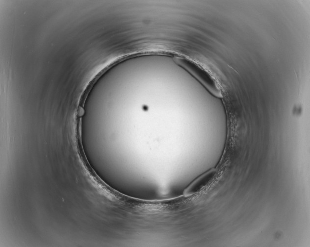 X0000098231134200805081216