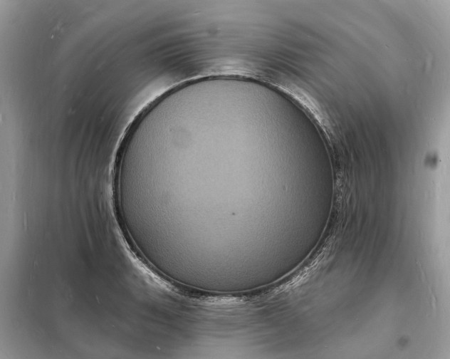 X0000098231135200805081216