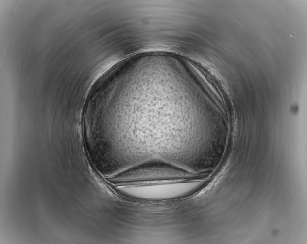 X0000098231137200805081216