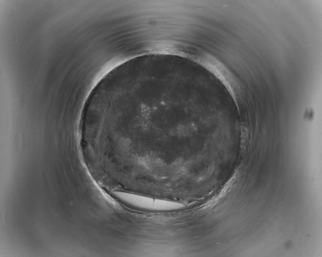 X0000098231141200805081216