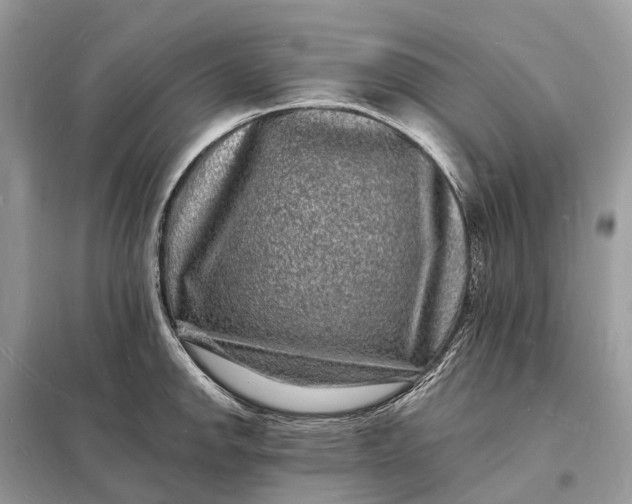 X0000098231142200805081216