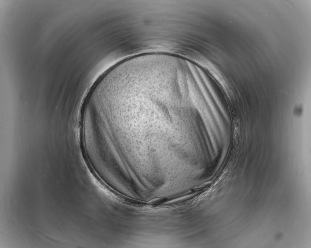 X0000098231143200805081216